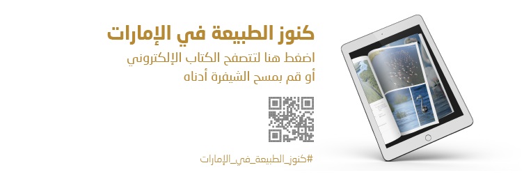كنوز الطبيعة في الإمارات