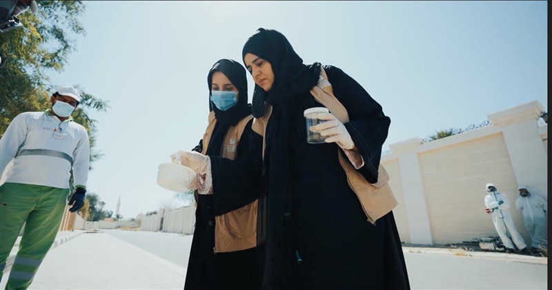 حملة البعوض.JPG