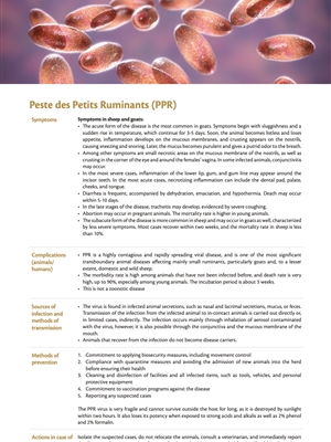 Types of Animal Disease