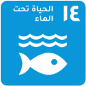 أهداف التنمية المستدامة