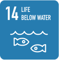 Sustainability Development Goals