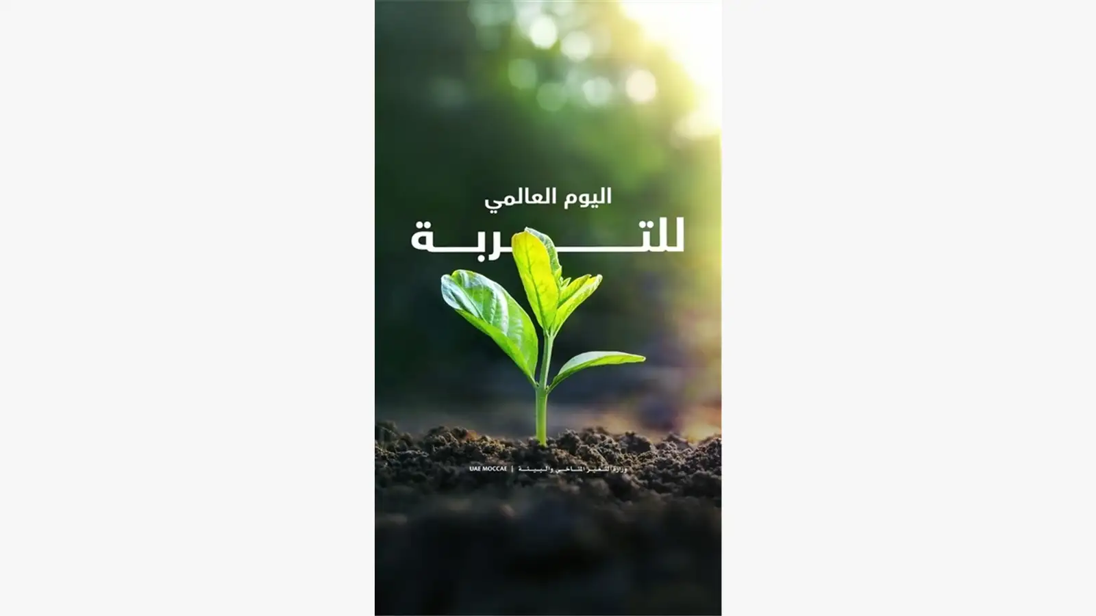 اليوم العالمي للتربة