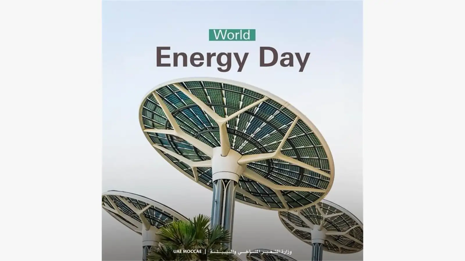 World Energy Day