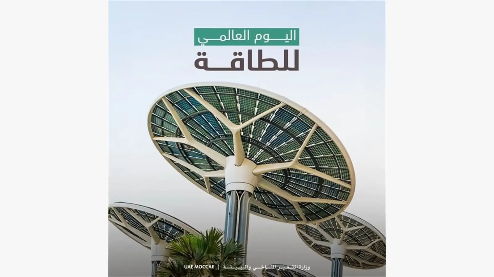 اليوم العالمي للطاقة