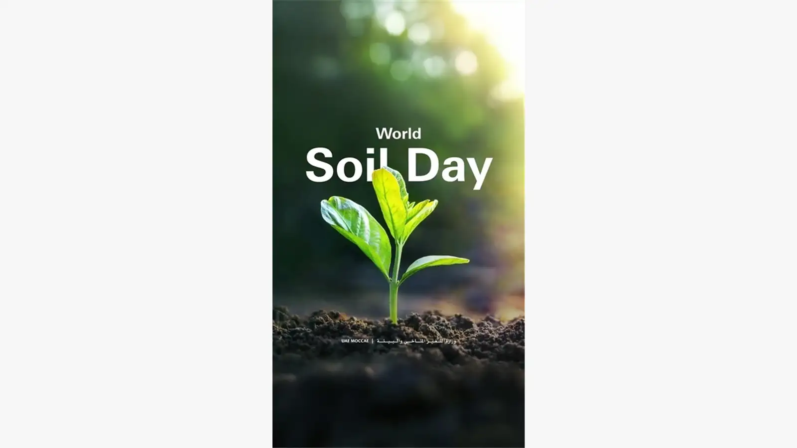 World Soil Day